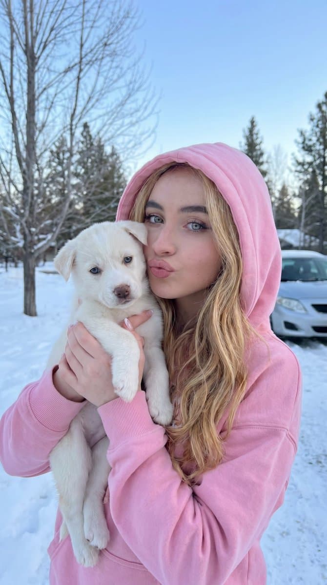 Playful Winter Puppy Portrait — example 1