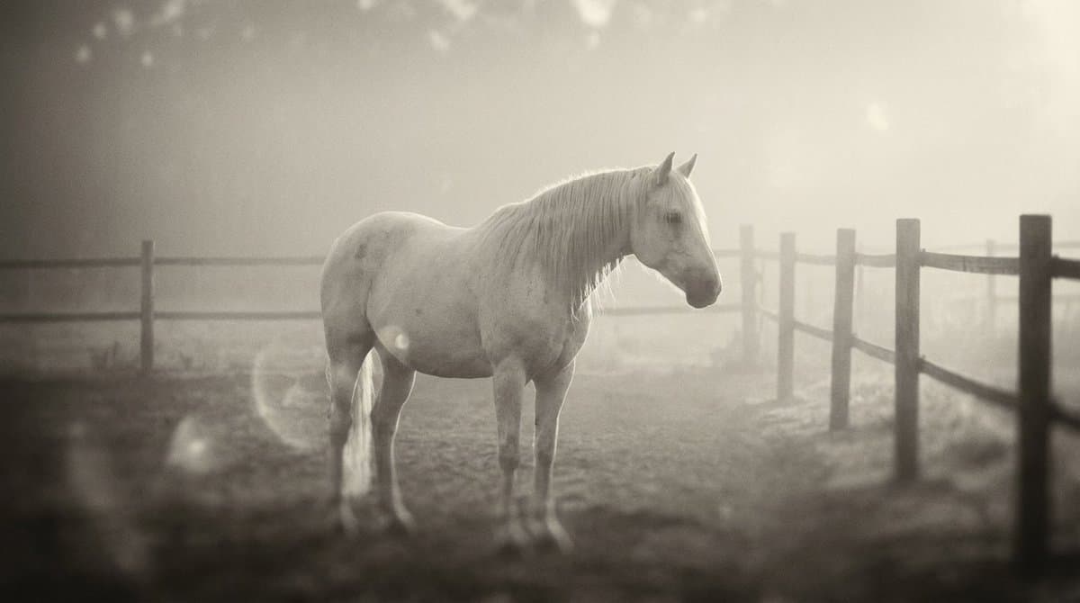 Monochromatic Ivory Cinematic Portrait — example 3