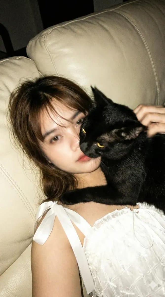 Low-Resolution Motion-Blurred Selfie with Cat — example 2
